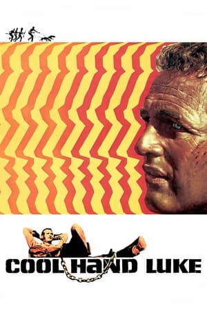 Cool Hand Luke watch Cool Hand Luke