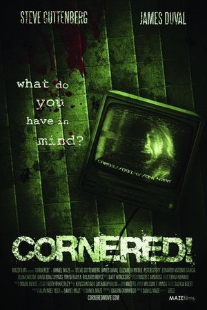 Cornered watch Cornered