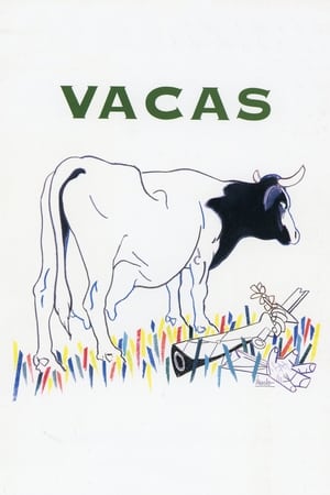 Cows watch Cows