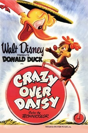 Crazy Over Daisy watch Crazy Over Daisy