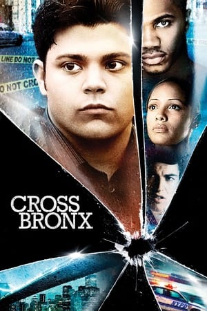 Cross Bronx watch Cross Bronx