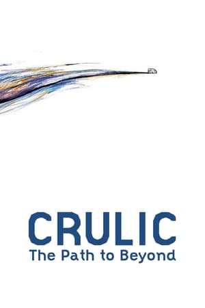 watch Crulic: The Path to Beyond