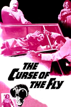 watch Curse of the Fly