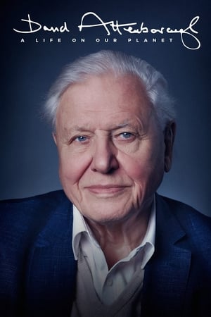 David Attenborough: A Life on Our Planet watch David Attenborough: A Life on Our Planet