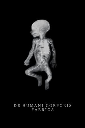watch De Humani Corporis Fabrica