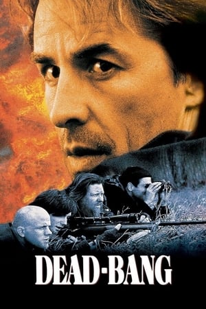 watch Dead Bang