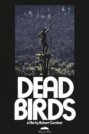 Dead Birds watch Dead Birds