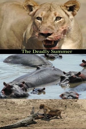 Deadly Summer watch Deadly Summer
