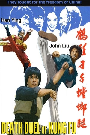 watch Death Duel of Kung Fu