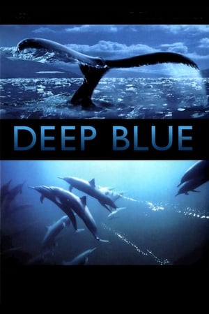 Deep Blue watch Deep Blue