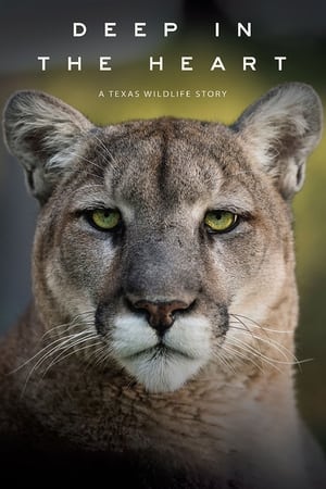 Deep in the Heart: A Texas Wildlife Story watch Deep in the Heart: A Texas Wildlife Story