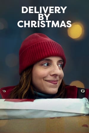 watch Delivery by Christmas