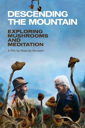watch Descending the Mountain