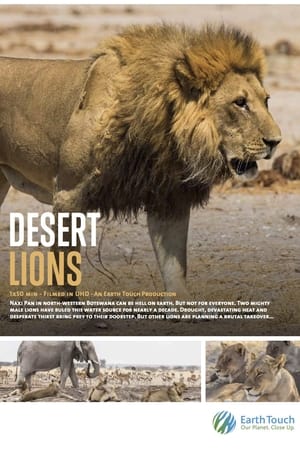 Desert Lions watch Desert Lions