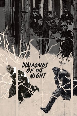 Diamonds of the Night watch Diamonds of the Night