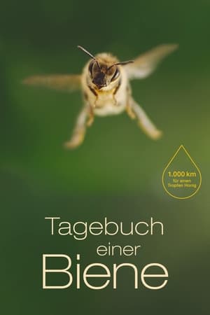 Diary of a Bee watch Diary of a Bee