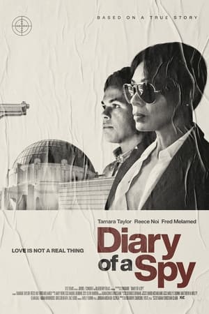 Diary of a Spy watch Diary of a Spy