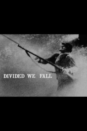Divided We Fall watch Divided We Fall