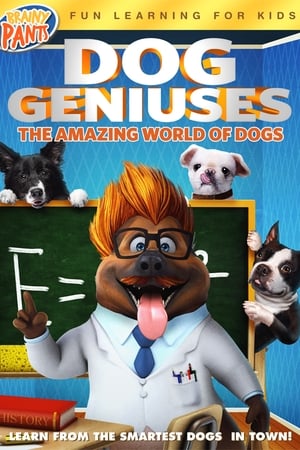 Dog Geniuses watch Dog Geniuses