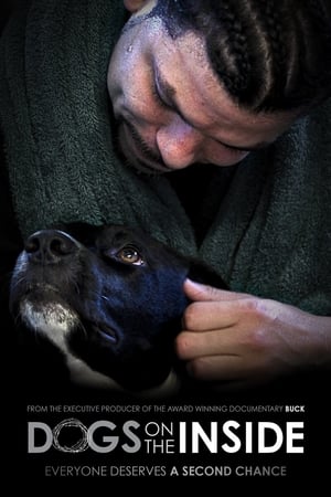 watch Dogs on the Inside