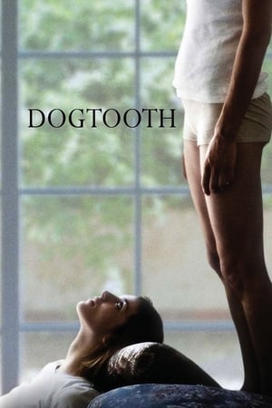 Dogtooth watch Dogtooth