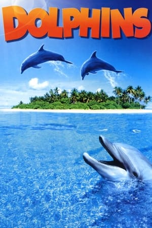 Dolphins watch Dolphins