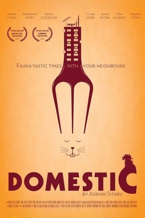 Domestic watch Domestic