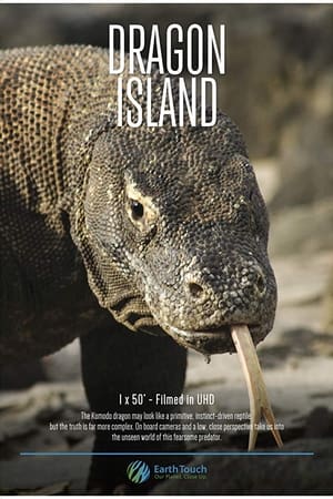 Dragon Island watch Dragon Island