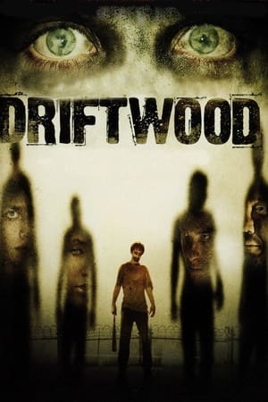 Driftwood watch Driftwood