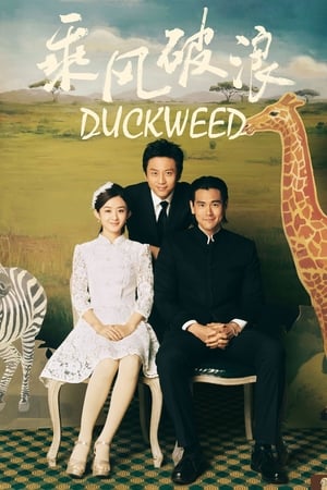 Duckweed watch Duckweed
