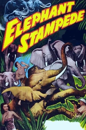 Elephant Stampede watch Elephant Stampede