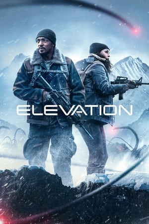 Elevation watch Elevation