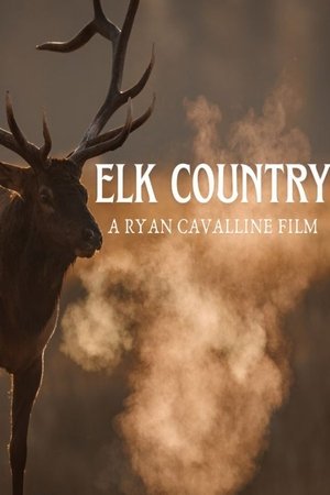Elk Country watch Elk Country