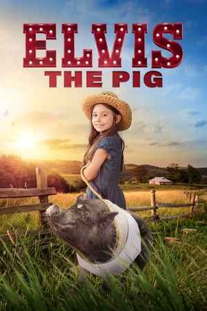 Elvis the Pig watch Elvis the Pig