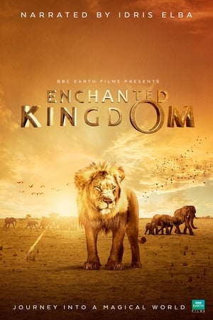 watch Enchanted Kingdom