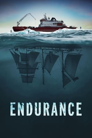 Endurance watch Endurance