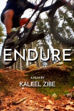Endure watch Endure