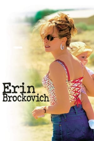 Erin Brockovich watch Erin Brockovich