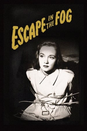 Escape in the Fog watch Escape in the Fog