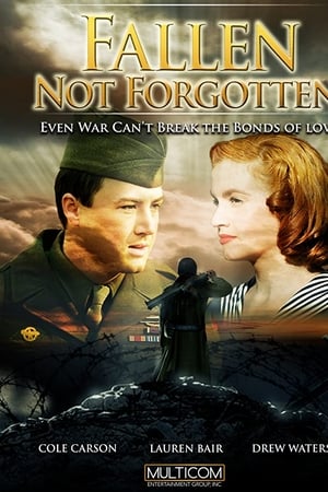 watch Everyman's War