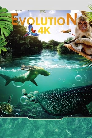 Evolution 4K watch Evolution 4K