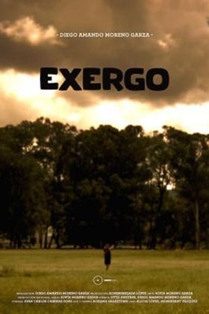 Exergo watch Exergo