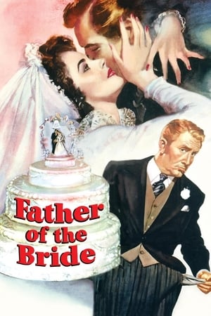 Father of the Bride watch Father of the Bride