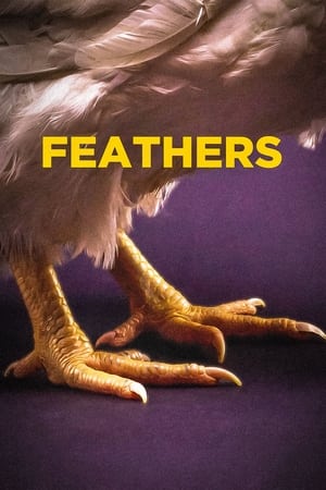 Feathers watch Feathers