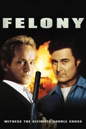 watch Felony