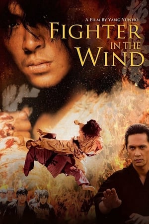 Fighter in the Wind watch Fighter in the Wind