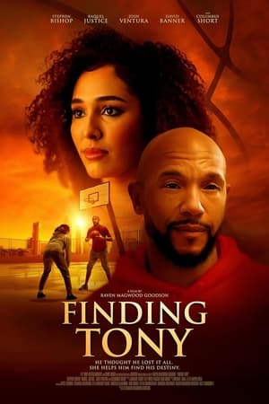 Finding Tony watch Finding Tony