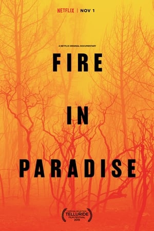Fire in Paradise watch Fire in Paradise