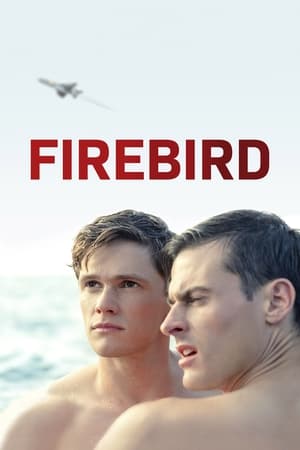 Firebird watch Firebird