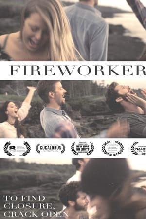 watch Fireworkers
